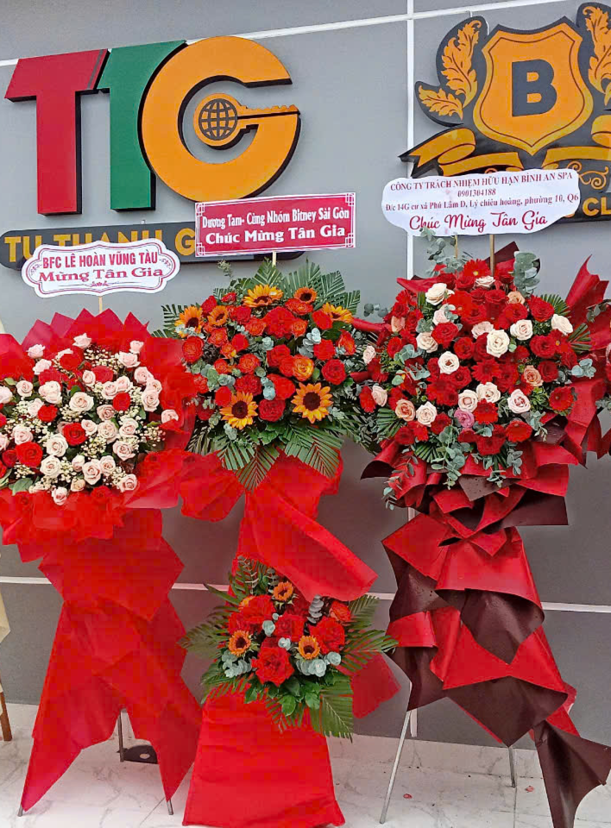 Hoa khai trương - Chúc Mừng - MẪU (TVF-KT-CM-090)