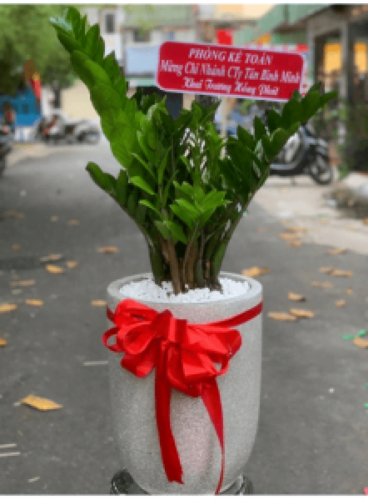 Hoa khai trương - Chúc Mừng - MẪU (TVF-KT-CM-092)