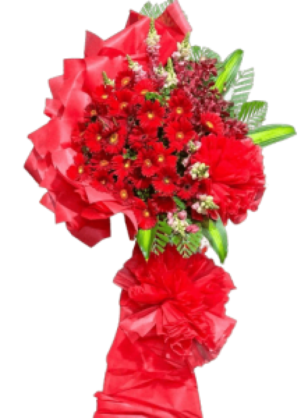 Hoa khai trương - Chúc Mừng - MẪU (TVF-KT-CM-098)