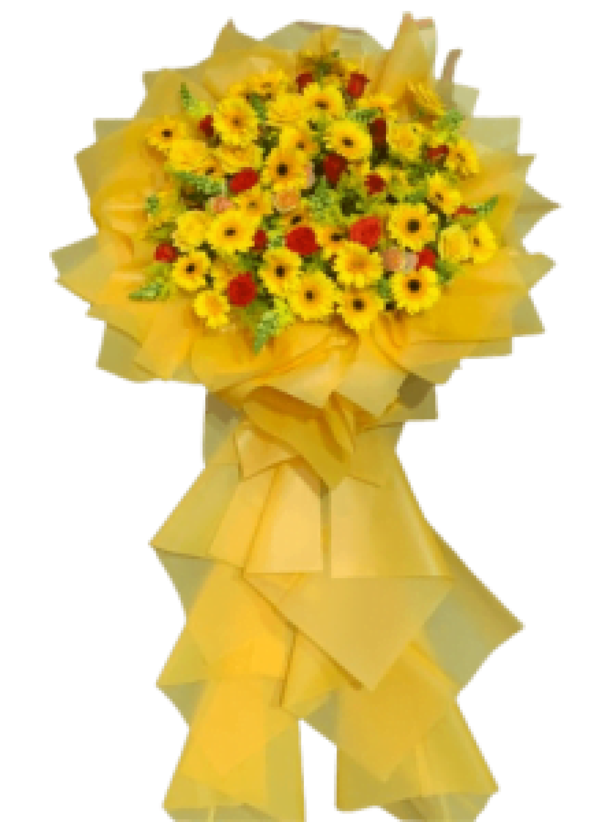 Hoa khai trương - Chúc Mừng - MẪU (TVF-KT-CM-101)