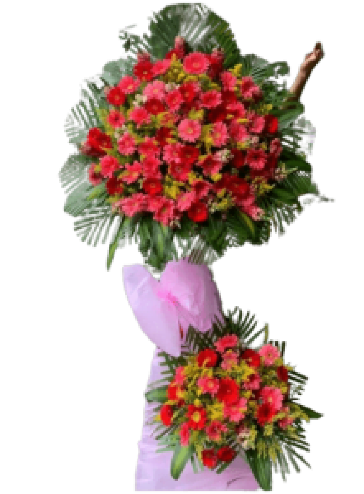 Hoa khai trương - Chúc Mừng - MẪU (TVF-KT-CM-106)