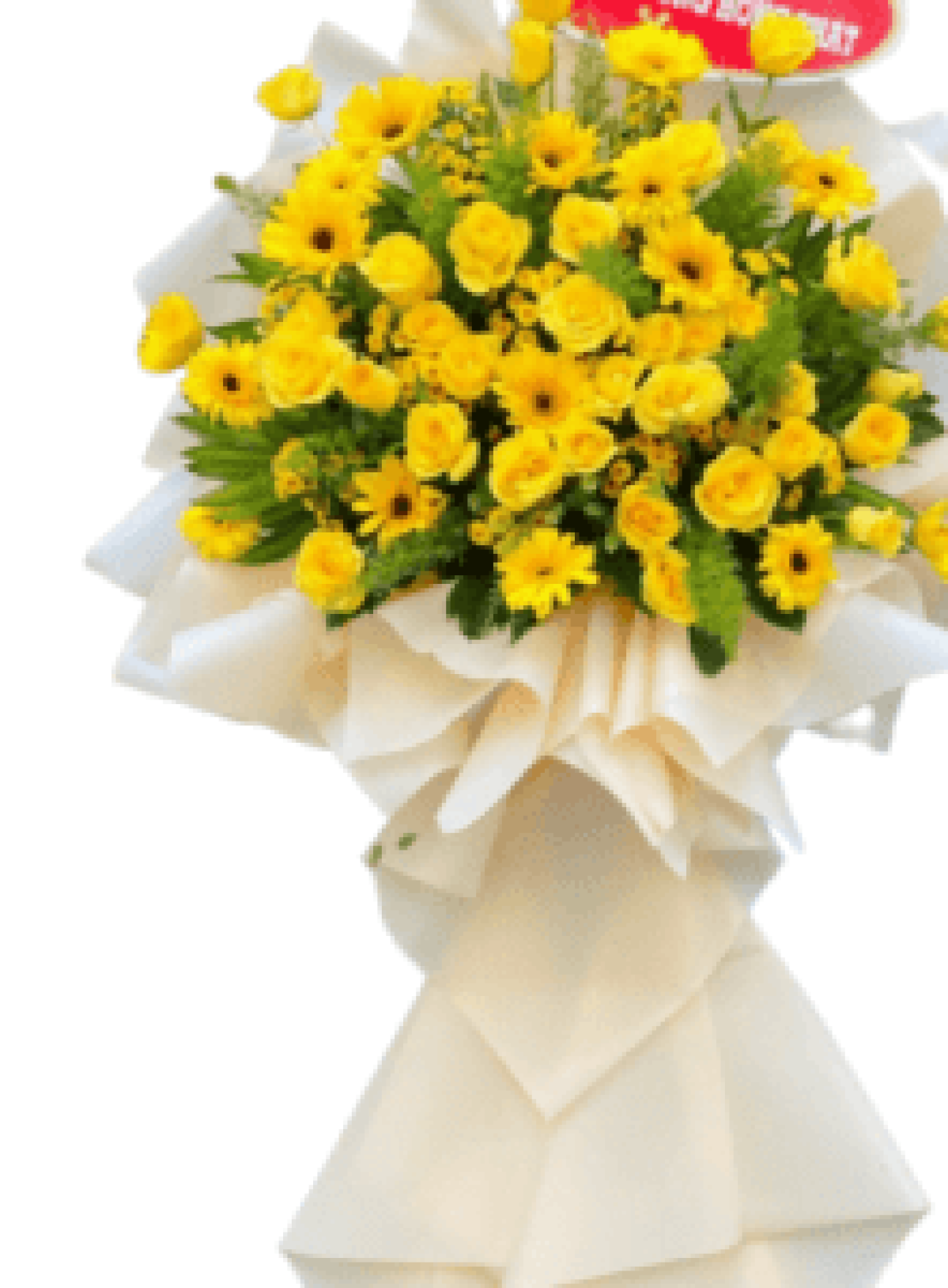 Hoa khai trương - Chúc Mừng - MẪU (TVF-KT-CM-112)