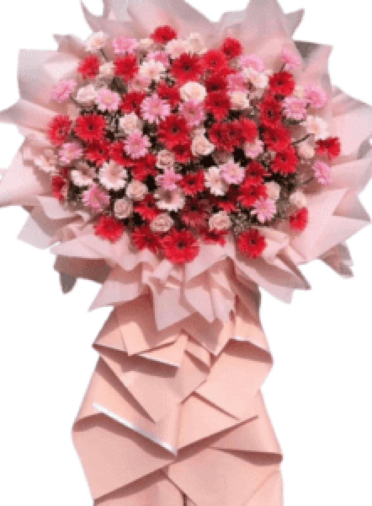 Hoa khai trương - Chúc Mừng - MẪU (TVF-KT-CM-113)