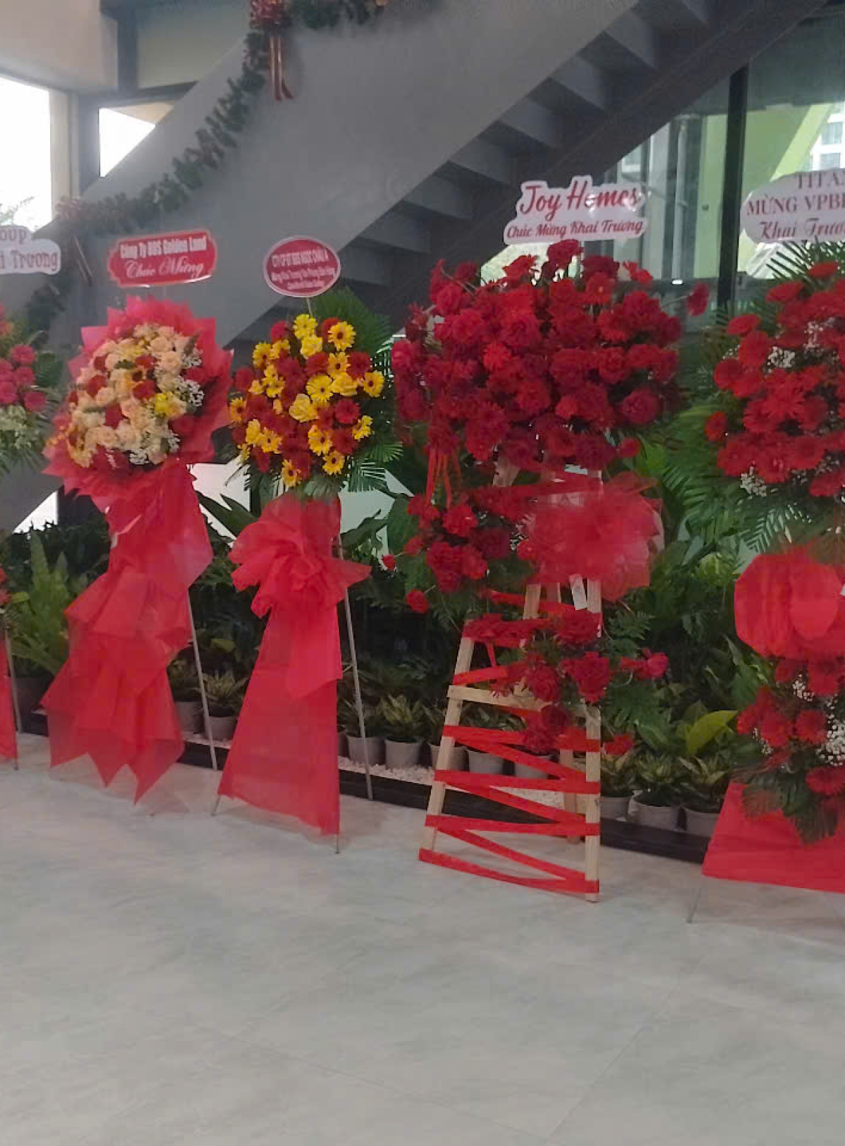 Hoa khai trương - Chúc Mừng - MẪU (TVF-KT-CM-114)