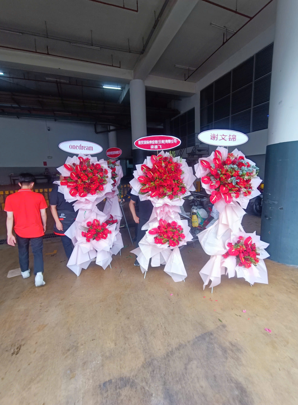 Hoa khai trương - Chúc Mừng - MẪU (TVF-KT-CM-126)