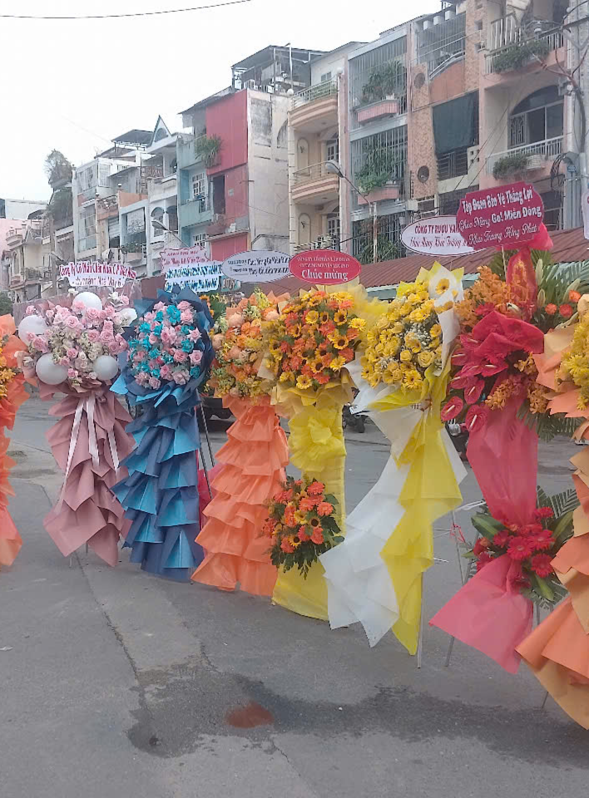 Hoa khai trương - Chúc Mừng - MẪU (TVF-KT-CM-138)