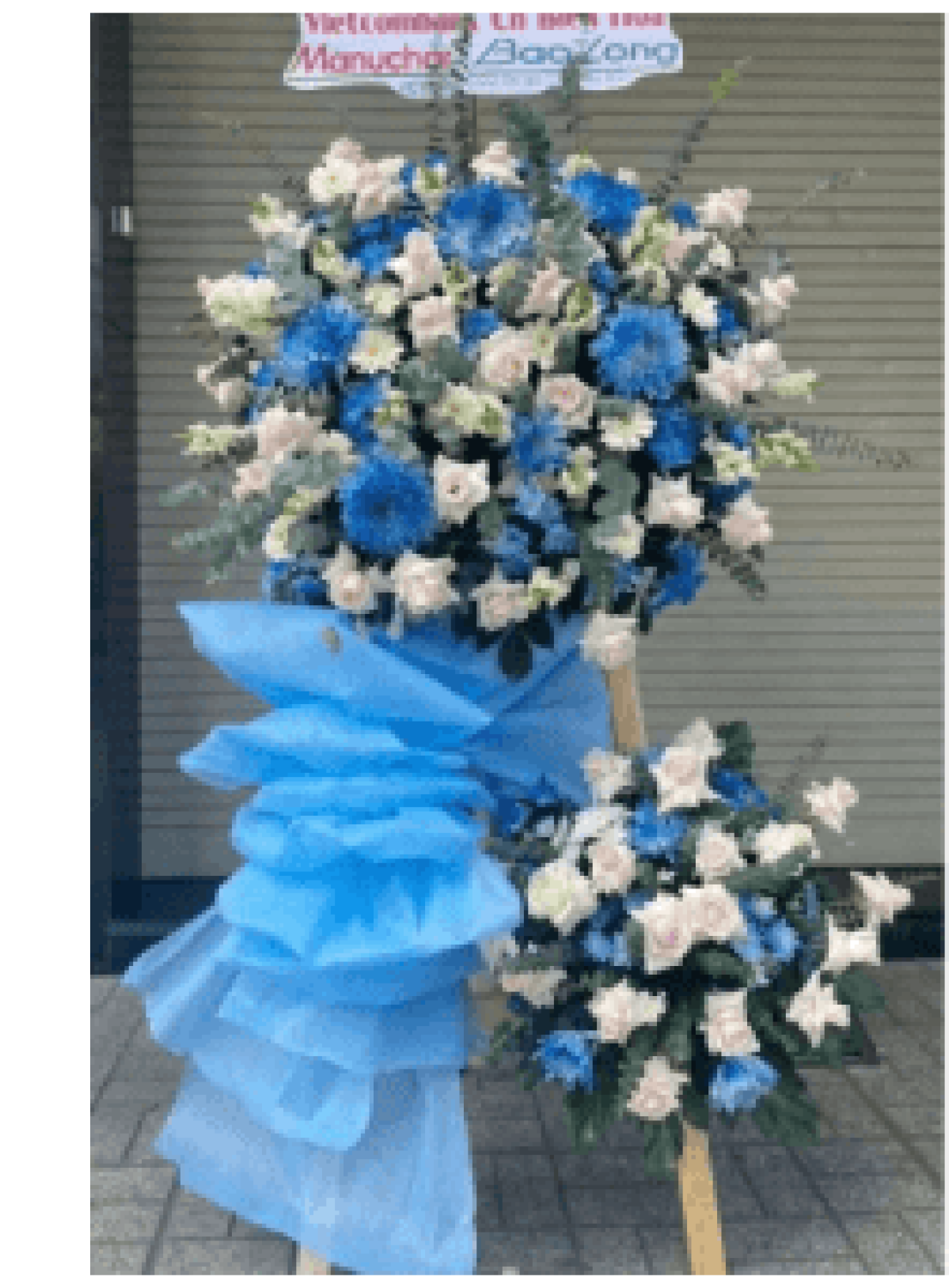 Hoa khai trương - Chúc Mừng - MẪU (TVF-KT-CM-148)