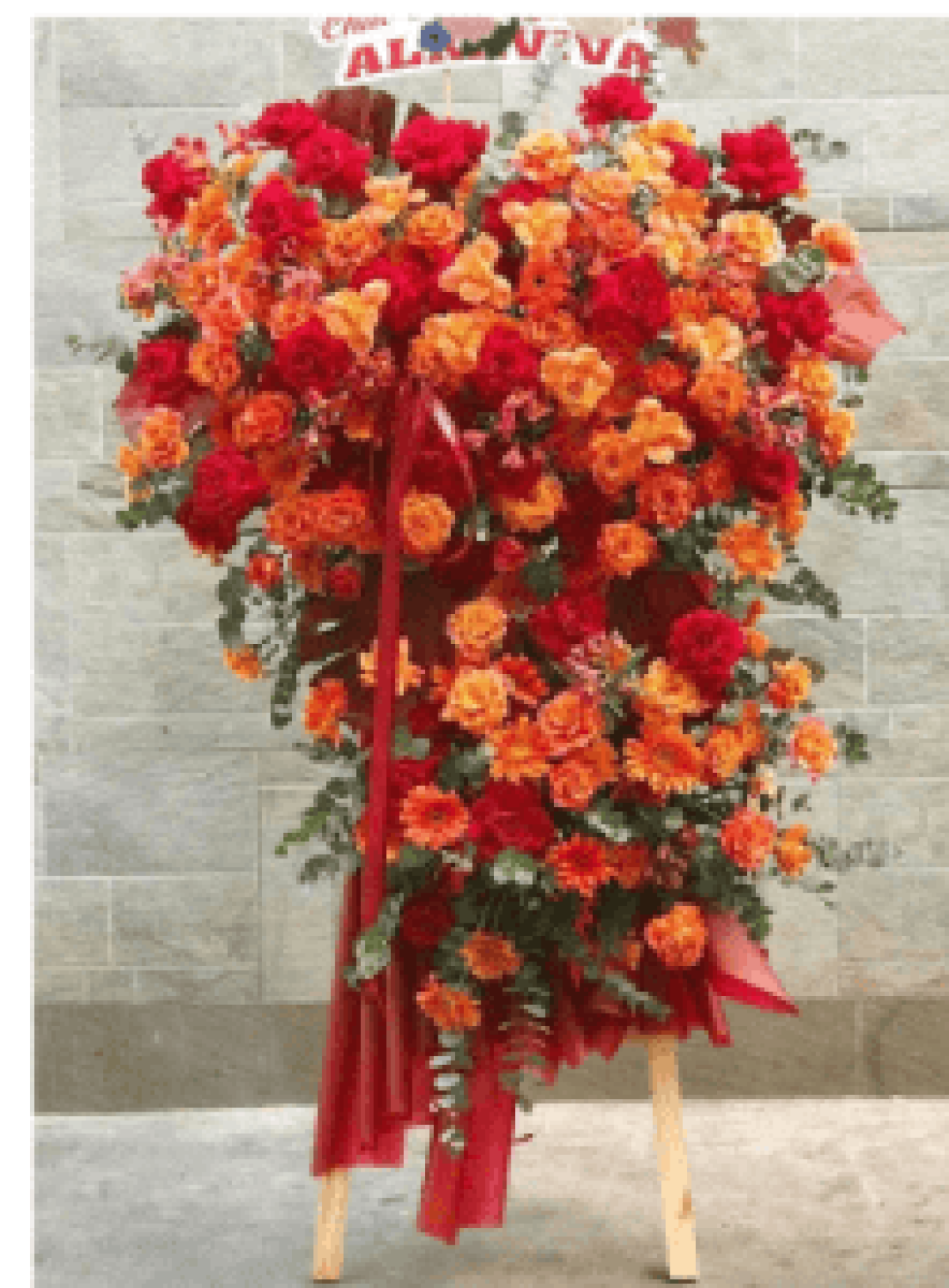 Hoa khai trương - Chúc Mừng - MẪU (TVF-KT-CM-153)