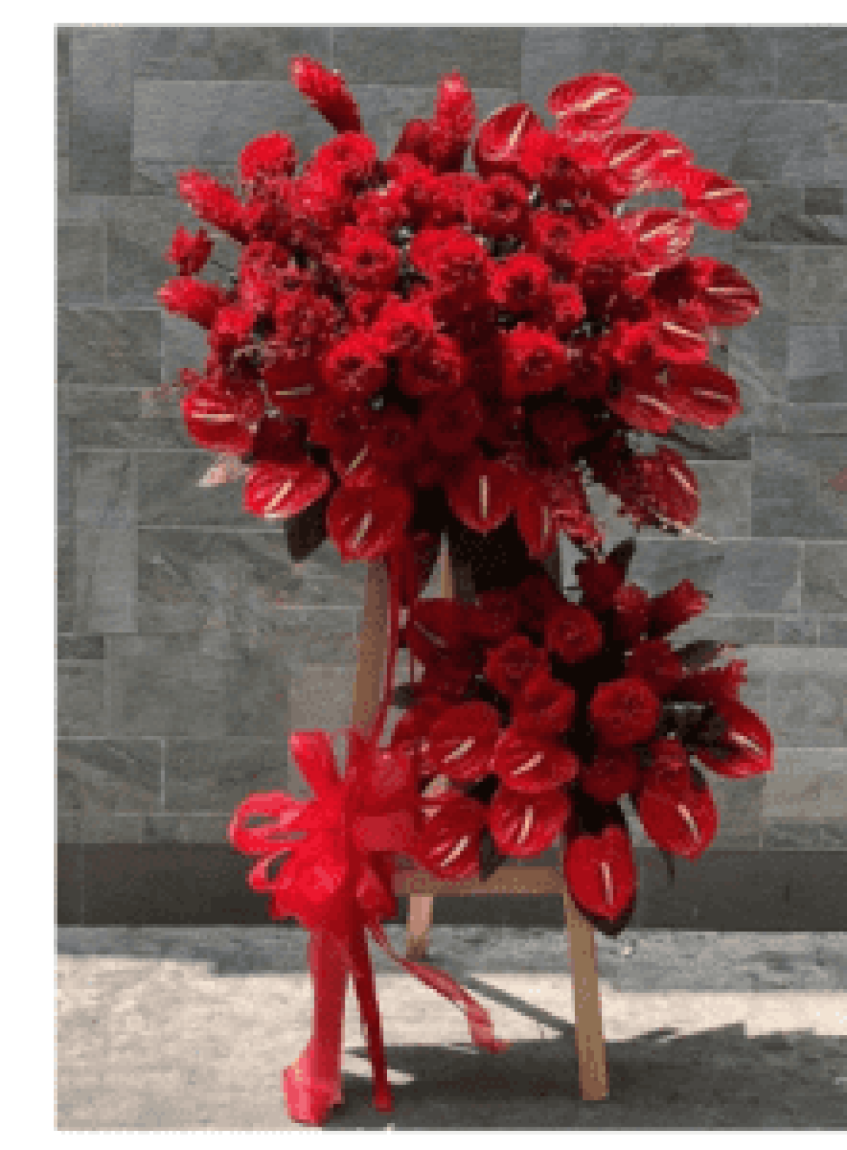 Hoa khai trương - Chúc Mừng - MẪU (TVF-KT-CM-154)