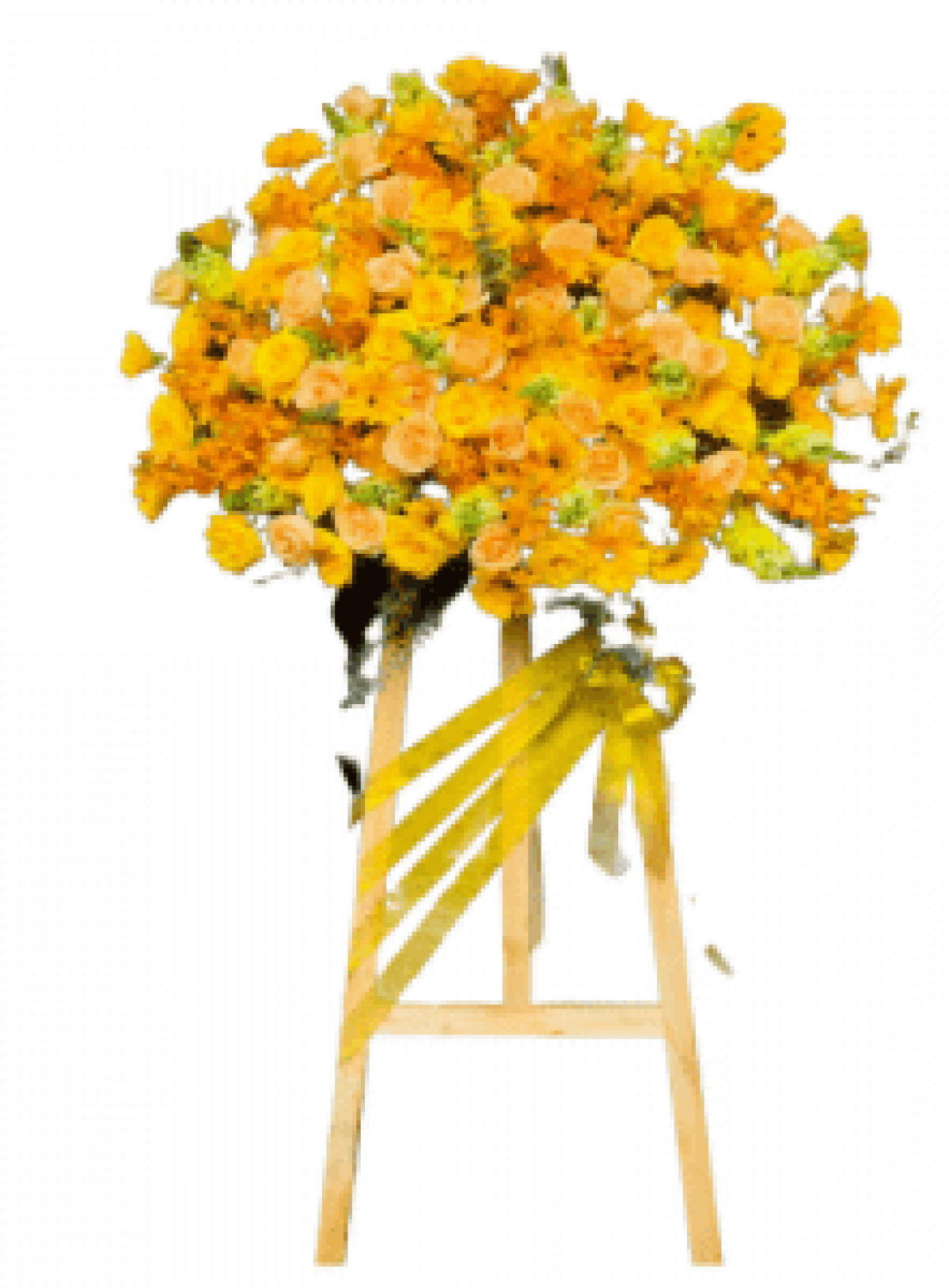 Hoa khai trương - Chúc Mừng - MẪU (TVF-KT-CM-165)