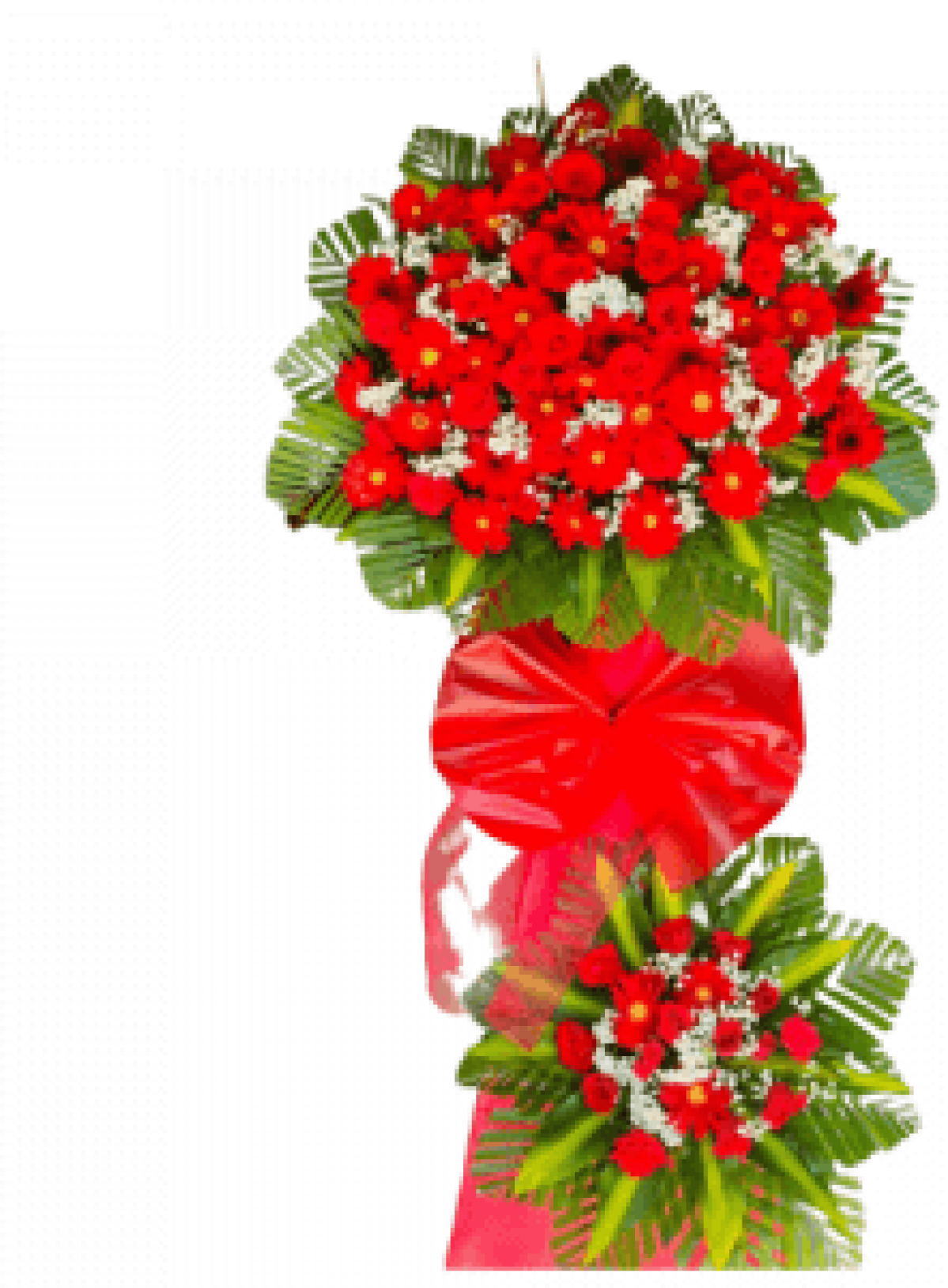 Hoa khai trương - Chúc Mừng - MẪU (TVF-KT-CM-166)