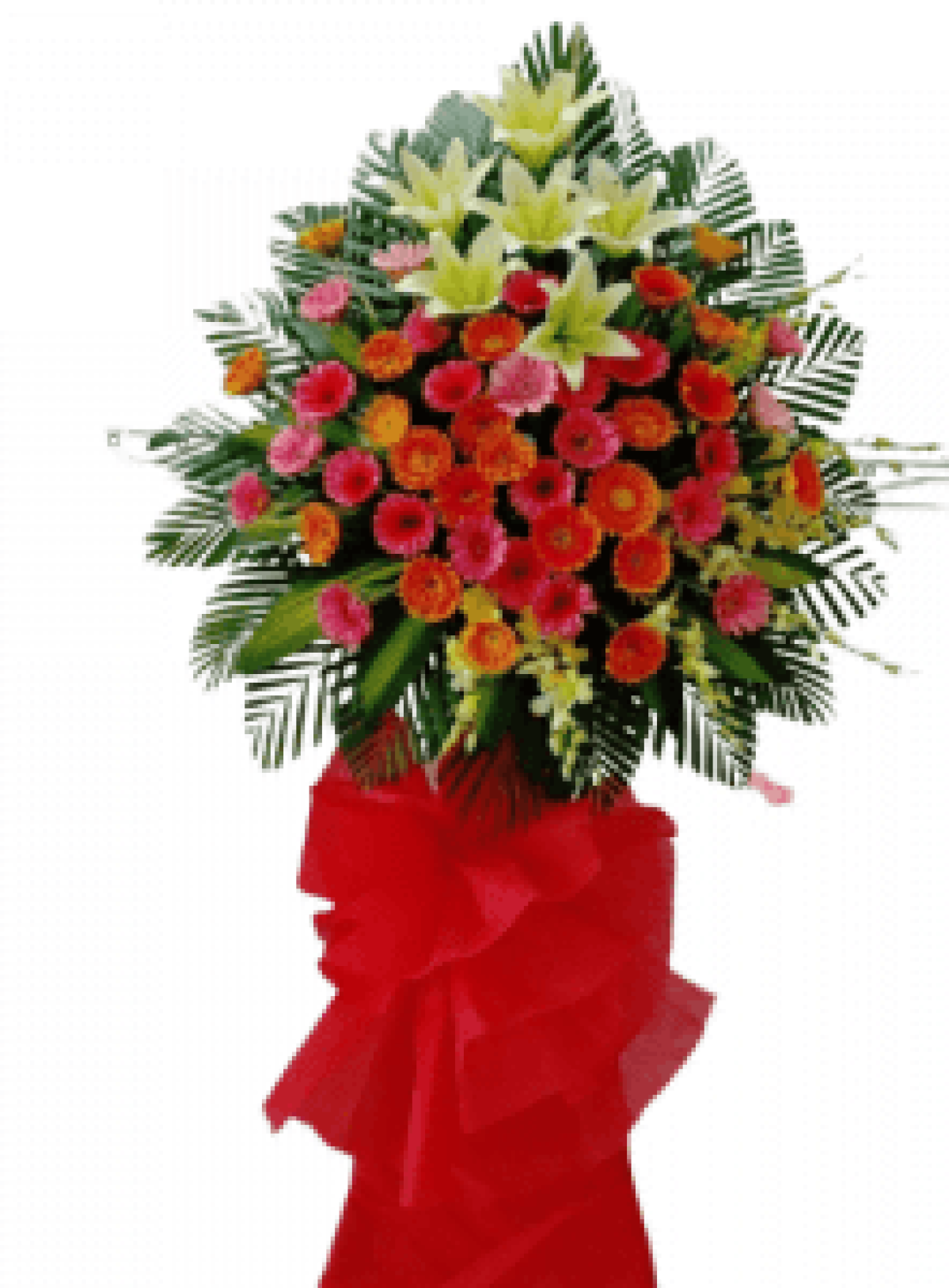 Hoa khai trương - Chúc Mừng - MẪU (TVF-KT-CM-167)