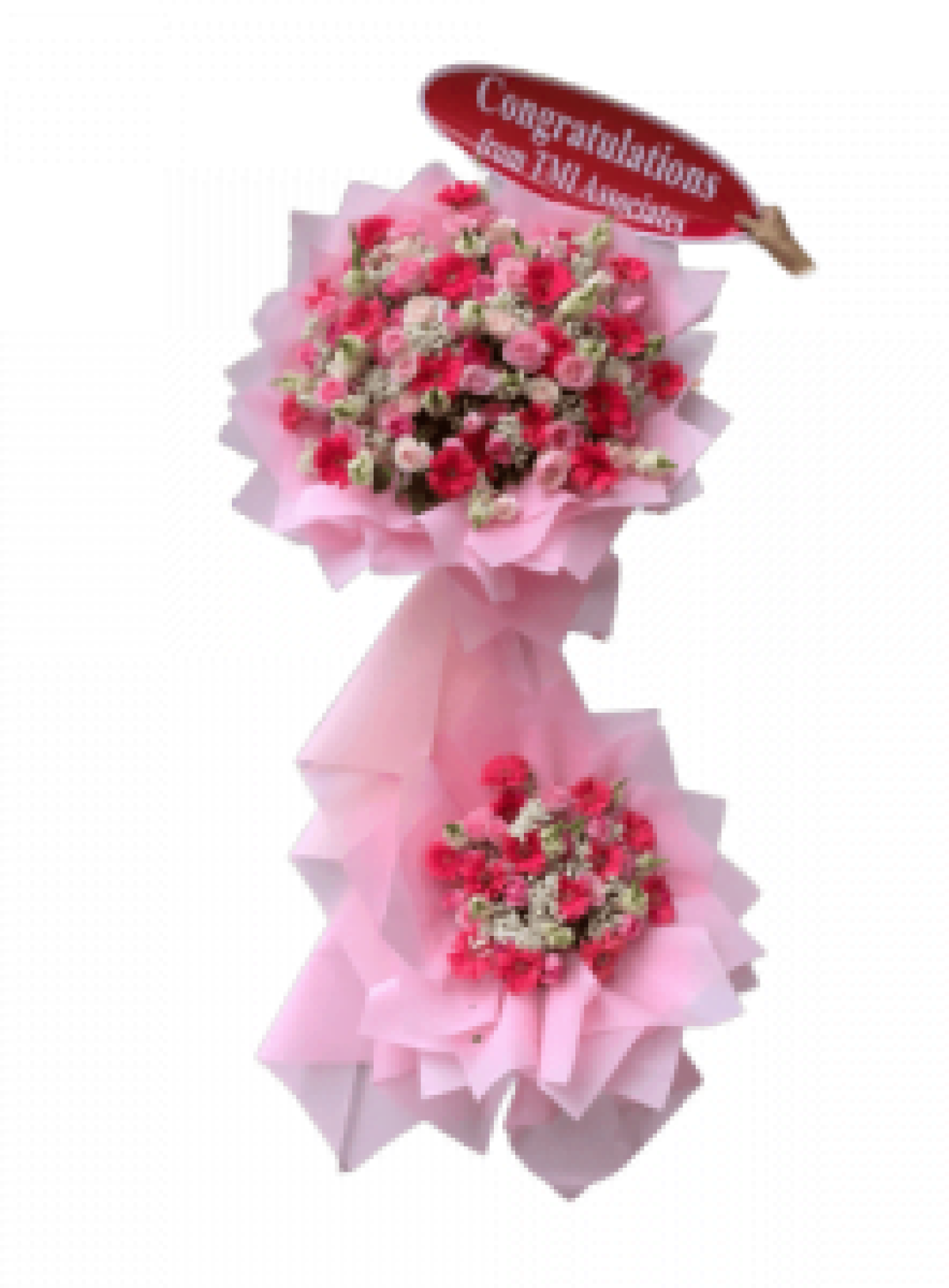 Hoa khai trương - Chúc Mừng - MẪU (TVF-KT-CM-172)