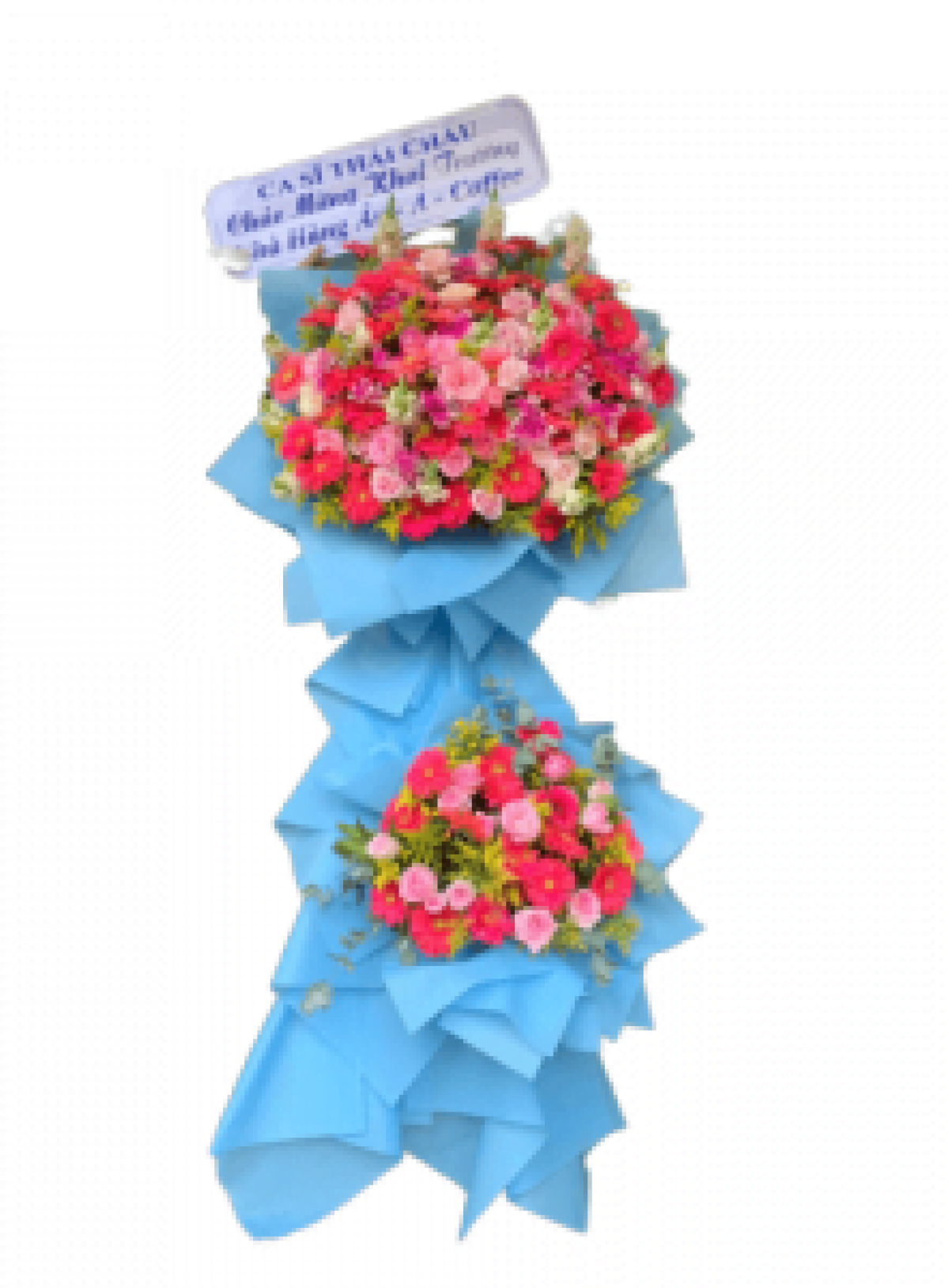 Hoa khai trương - Chúc Mừng - MẪU (TVF-KT-CM-173)