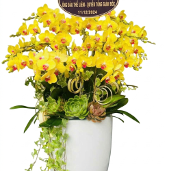 Chậu Lan, Lan Cắt Cành