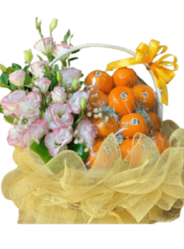 Hoa tươi - Giỏ Trái Cây(TVF-GTC-051)