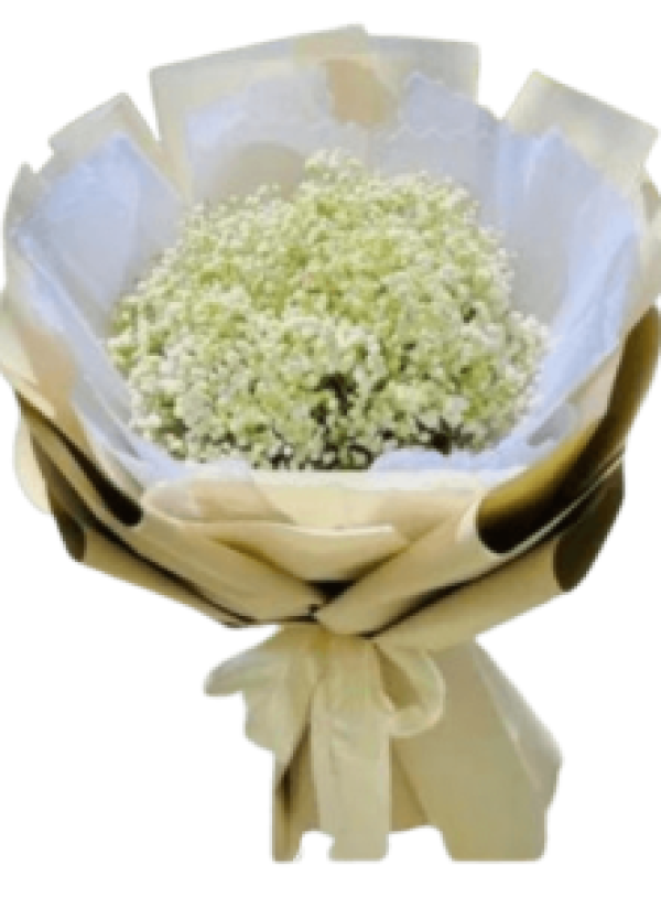 Hoa tươi - Hoa Giỏ - Hoa Bó Mẫu (TVF-HG-HB-050)