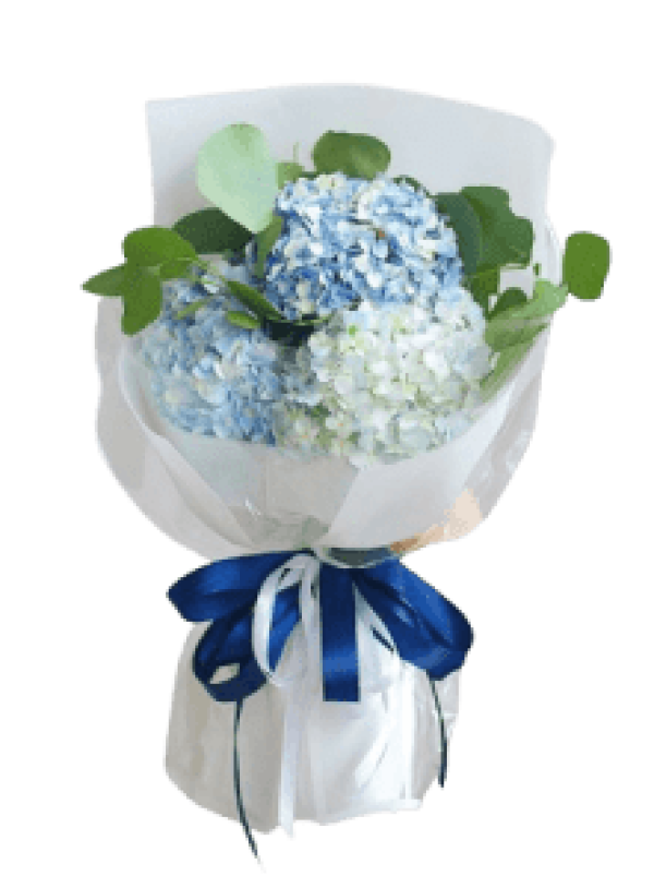 Hoa tươi - hoa sinh nhật Mẫu (TVF-HSN-152)