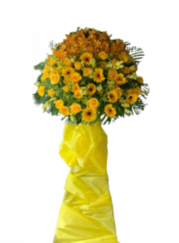 Hoa khai trương - Chúc Mừng - MẪU (TVF-KT-CM-012)