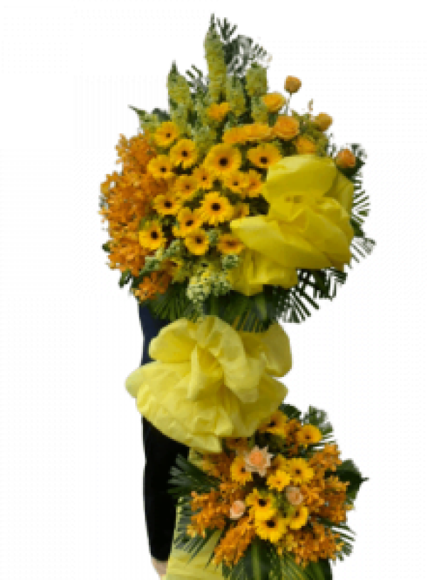 Hoa khai trương - Chúc Mừng - MẪU (TVF-KT-CM-018)