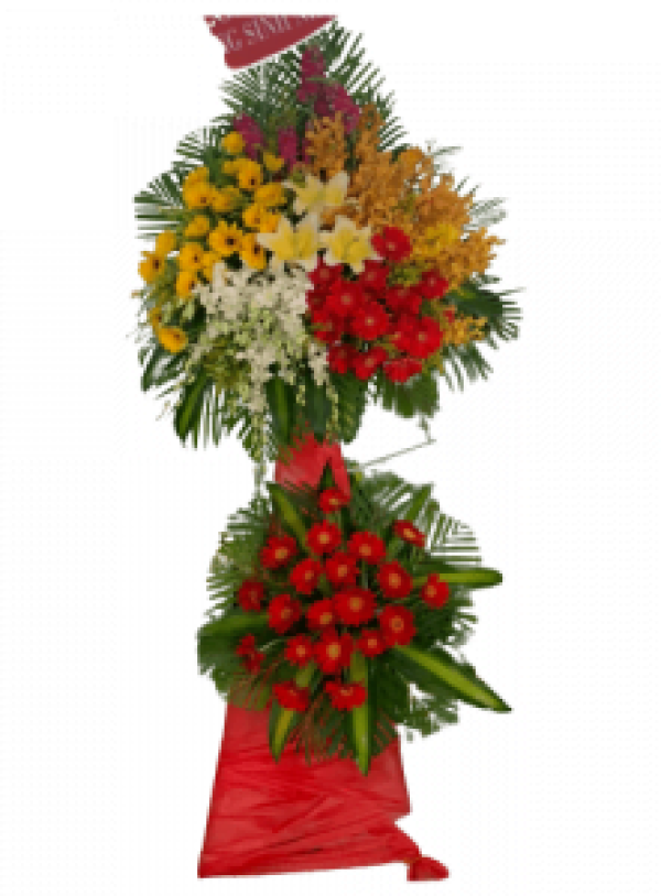 Hoa khai trương - Chúc Mừng - MẪU (TVF-KT-CM-024)